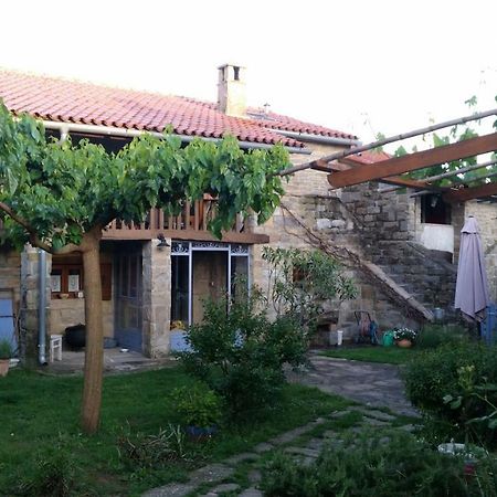 Labor Istrska Hiska Βίλα Marezige Εξωτερικό φωτογραφία