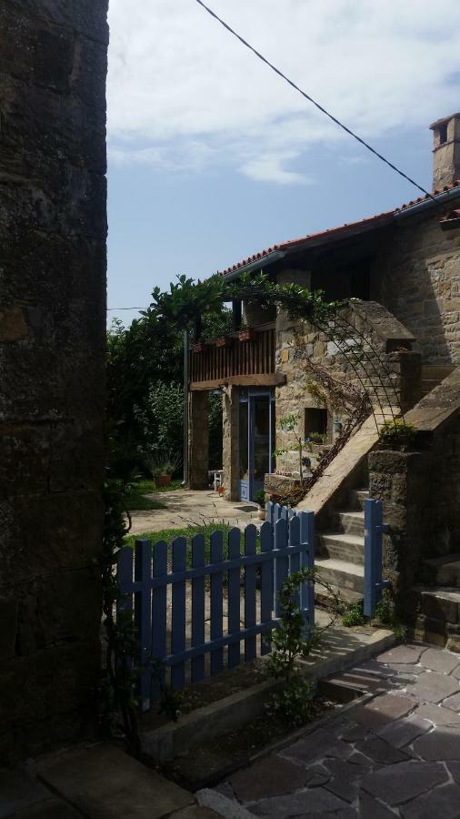 Labor Istrska Hiska Βίλα Marezige Εξωτερικό φωτογραφία