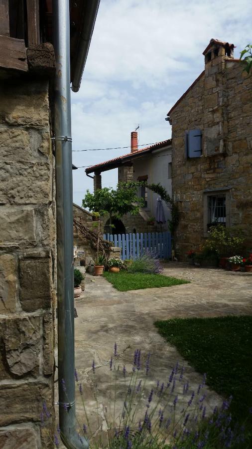 Labor Istrska Hiska Βίλα Marezige Εξωτερικό φωτογραφία
