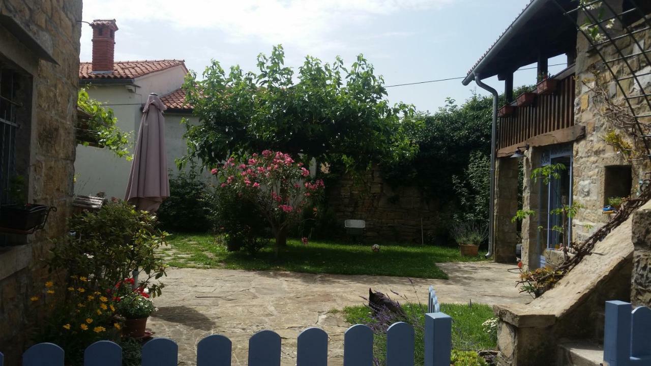 Labor Istrska Hiska Βίλα Marezige Εξωτερικό φωτογραφία
