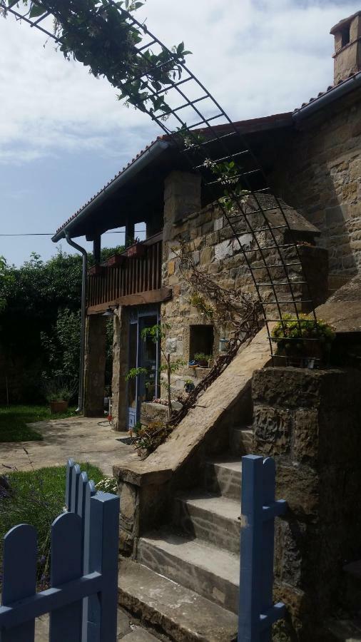 Labor Istrska Hiska Βίλα Marezige Εξωτερικό φωτογραφία